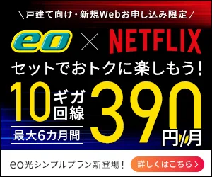 eo光シンプルプラン 10ギガコース Netflixパックへのリンク画像