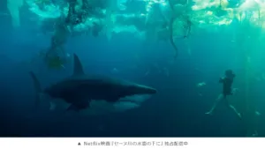 Netflix映画『セーヌ川の水面の下に』独占配信中