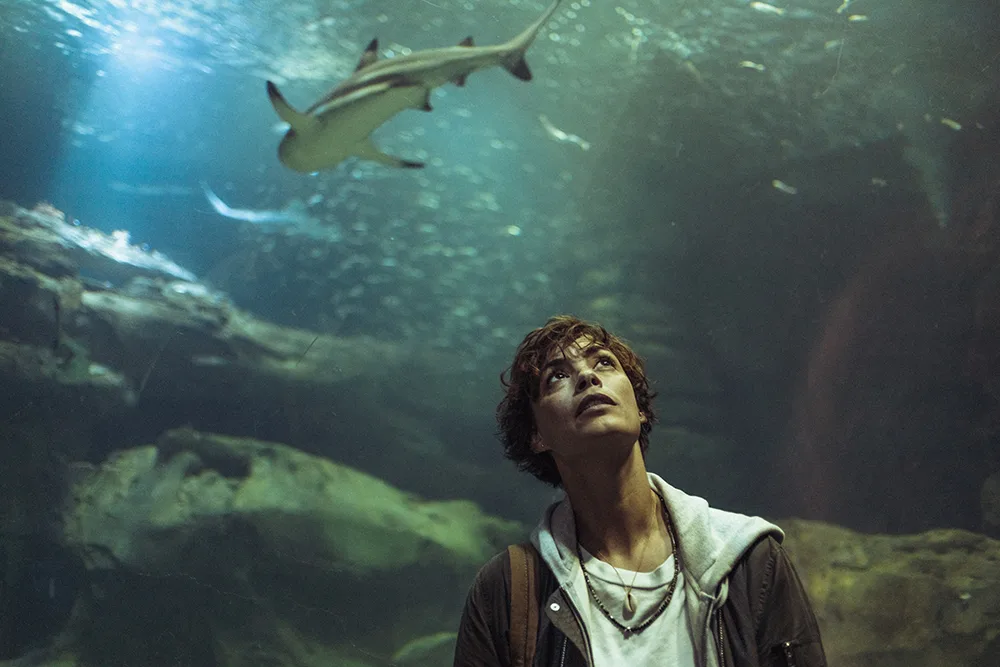 Netflix映画『セーヌ川の水面の下に』（2024）