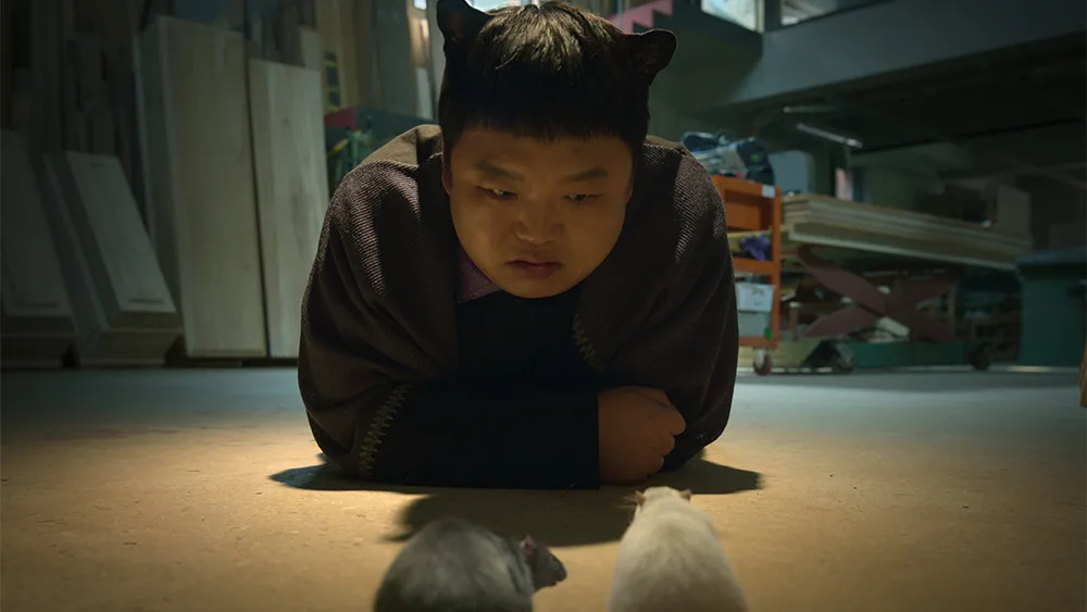 セイド（コ・ギュピル）