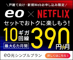 eo光シンプルプラン 10ギガコース Netflixパックへのリンク画像