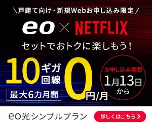 eo光シンプルプラン 10ギガコース Netflixパックへのリンク画像