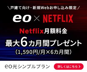 eo光シンプルプラン 10ギガコース Netflixパックへのリンク画像